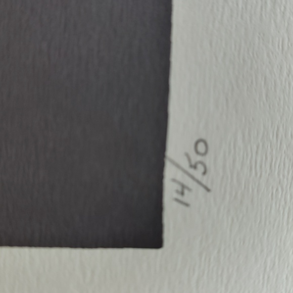 Valiunas Numbered Print "Bon Echo" - Picture 4 of 8